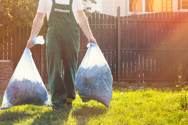 Best Construction Debris Removal  in Sheldon, IA